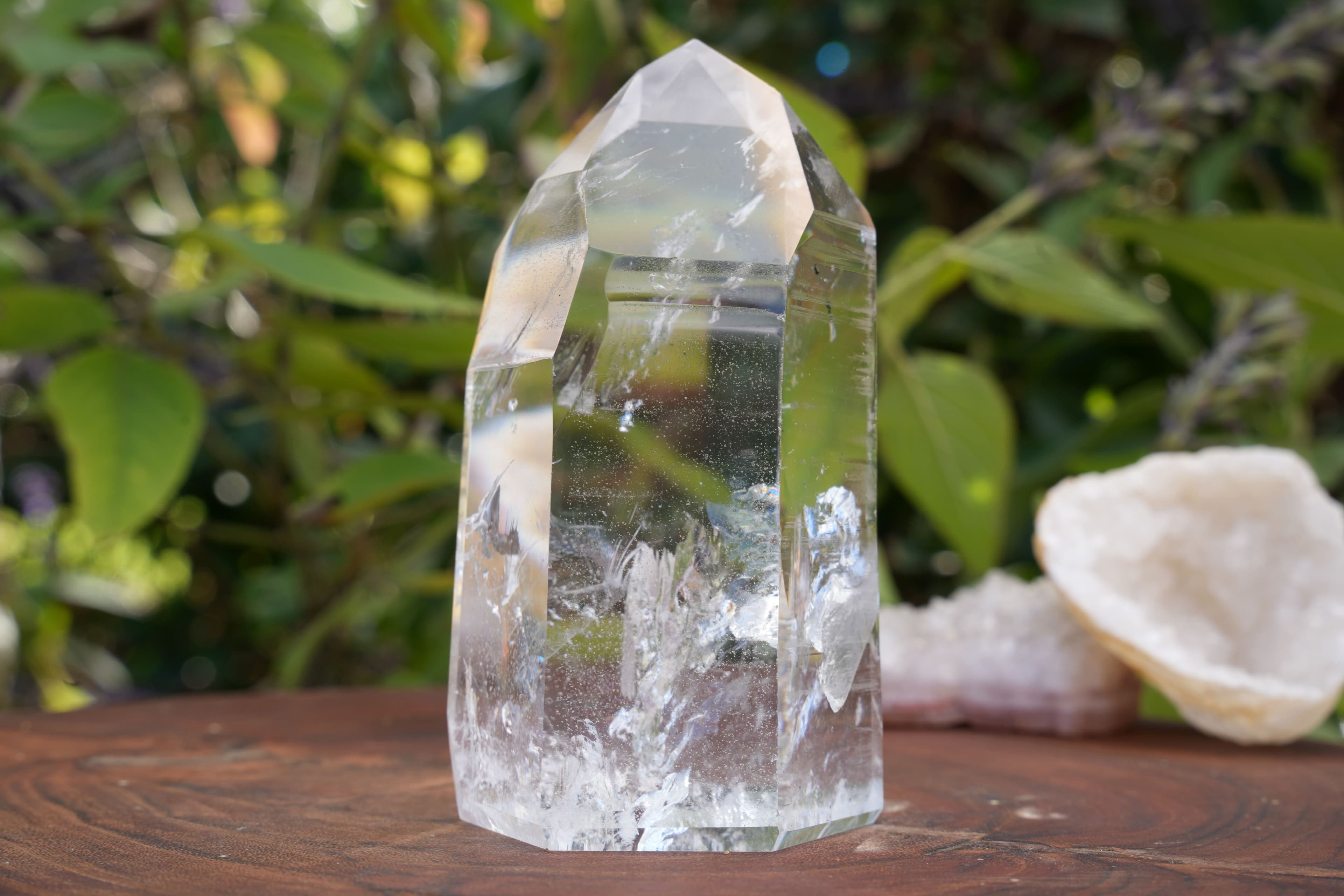AA+ Grade Star Seed Lemurian Towers | Reiki Infused